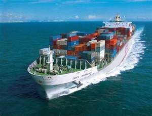 Image of international movers in Cape Coral, FL